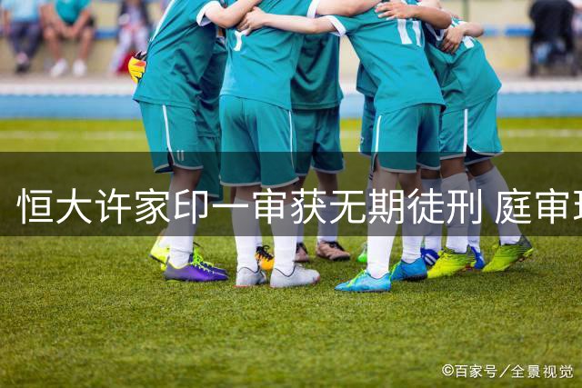 恒大许家印一审获无期徒刑 庭审现场须发皆白显沧桑
